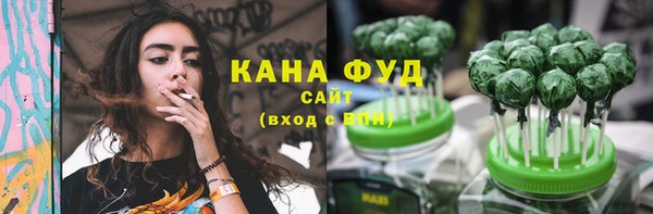 молекула духа Переславль-Залесский