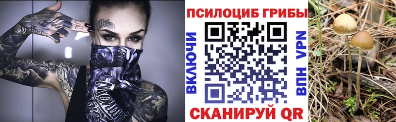 Псилоцибиновые грибы прущие грибы  Санкт-Петербург 