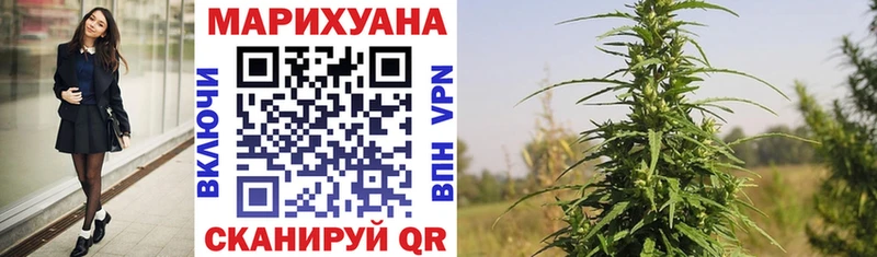 Бошки марихуана марихуана  mega сайт  Санкт-Петербург  где найти  